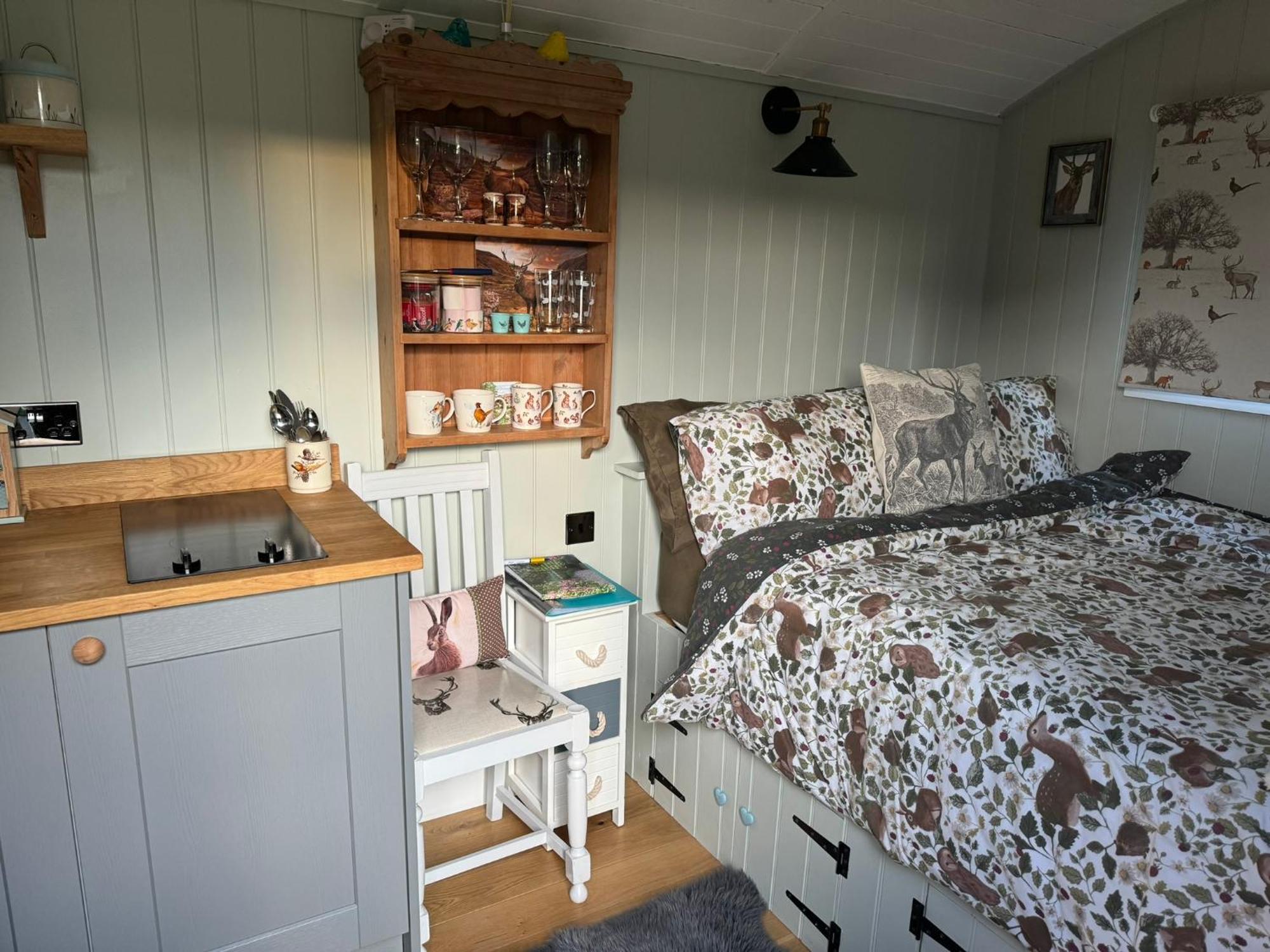 Forest View Shepherd Hut Ewhurst Exterior photo